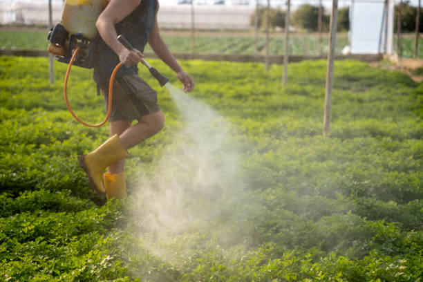 Best Mosquito Control Services  in Madill, OK