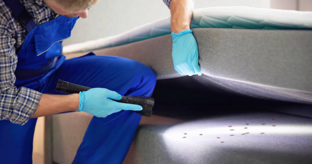 Best Best Pest Control Companies  in Madill, OK