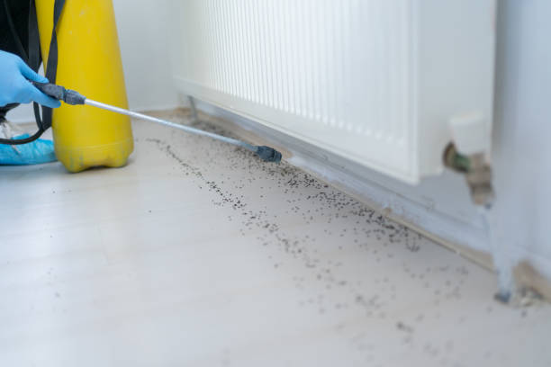 Best Commercial Pest Control Services  in Madill, OK