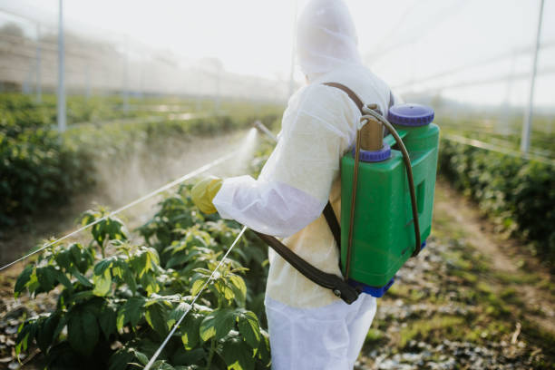 Best Wasp Removal Services  in Madill, OK